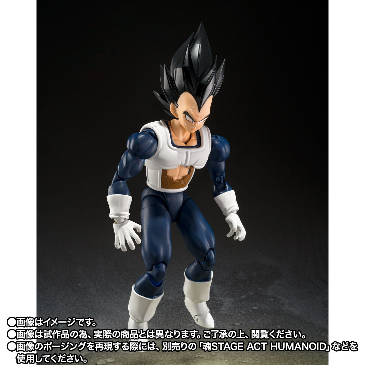 SH Figuarts Vegeta - Old Combat Uniform